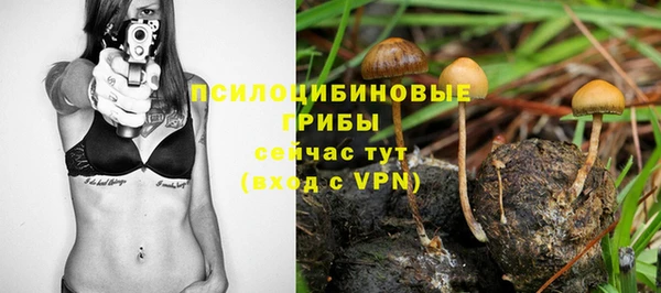 spice Абаза